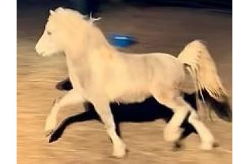 COMFERTS LOOKIN SENSATIONAL