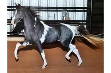 LVL RISE OF THE PHOENIX