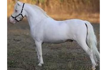 TITANIUMS REVIN IT UP