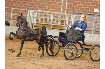 RFP TIMED TO PERFECTION